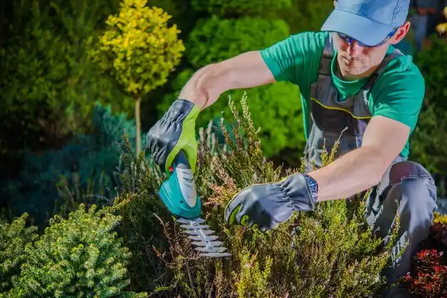 landscaping services Dearborn